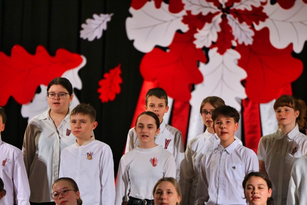 Image 15