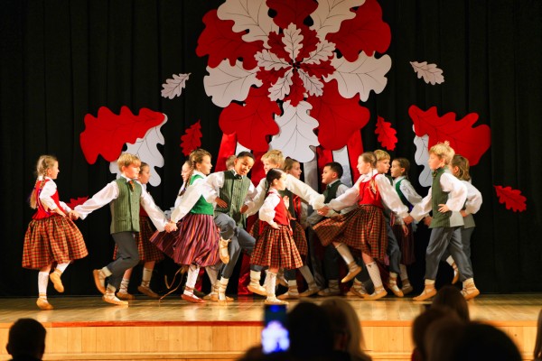 Image 12