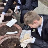 Image 18