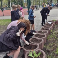 Image 15
