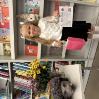 Image 11