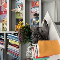 Image 5