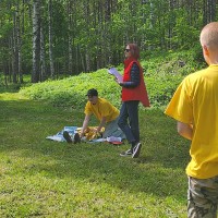 Image 11
