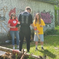 Image 5