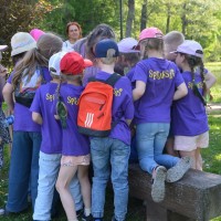 Image 13